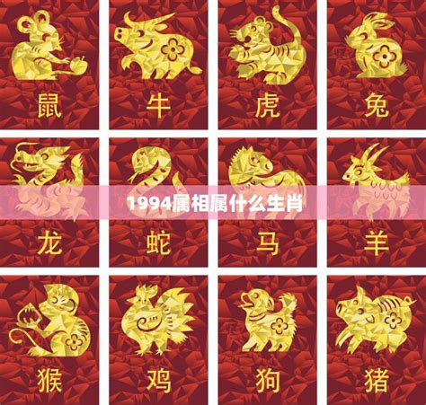 94年生肖|1994年属什么生肖